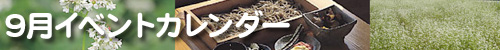 �H�Ɣ_�܂�