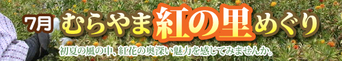 �ނ��܍g�̗��߂���
