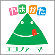 R`}[N